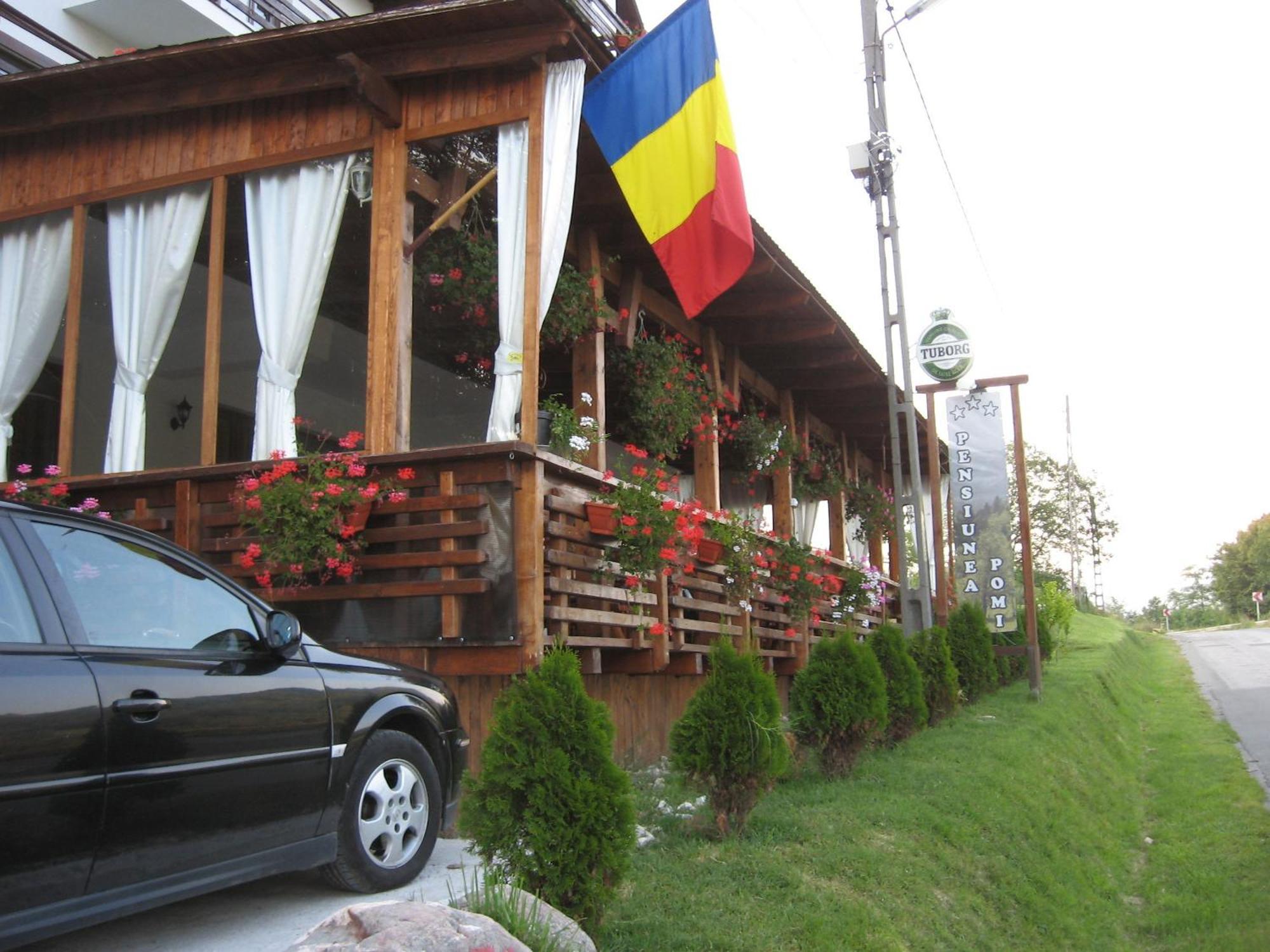 Hotel Pensiunea Pomi -Oesti Albestii Paminteni Exterior foto